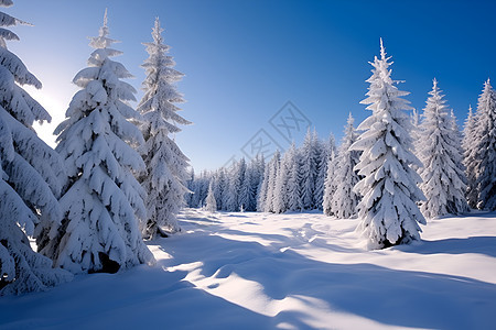 冬日覆雪的山林图片