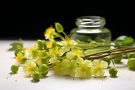 桌子上的瓶子和植物背景图片