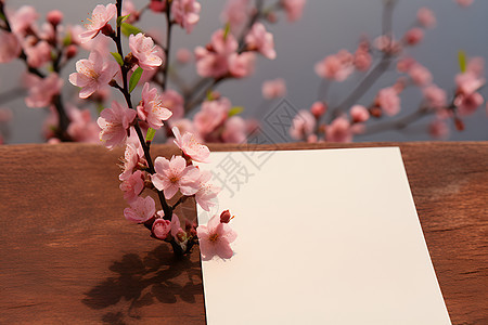 桌面上的桃花和纸张图片