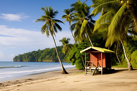 热带海滩上的小屋图片