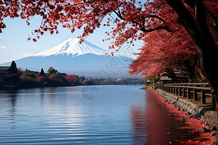 日本秋天的美景湖畔图片