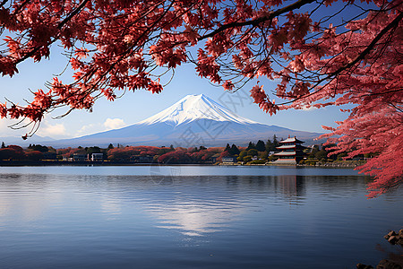 日本秋天的画卷背景图片