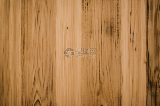 树纹木质墙纸图片