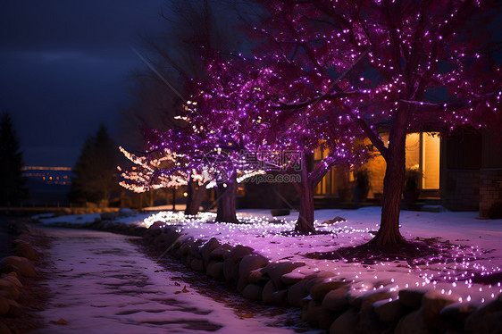 夜晚雪地里一棵紫色树闪着灯光图片