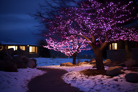 冬天夜晚冬日紫光寒夜下的神秘之树背景