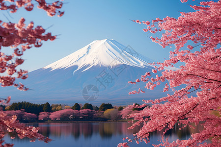 济州岛火山美丽的富士山背景