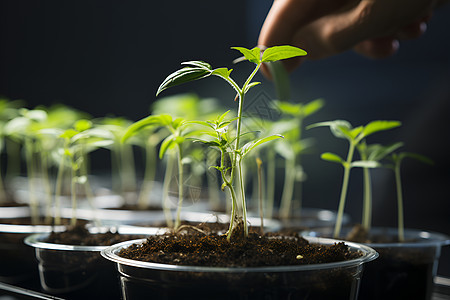 植物培育实验室背景图片