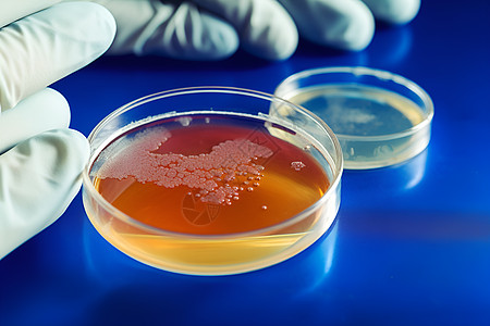 科学实验室实验室中的微生物培养皿背景