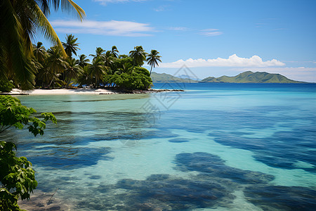 沙滩美景海水边长满了树木背景