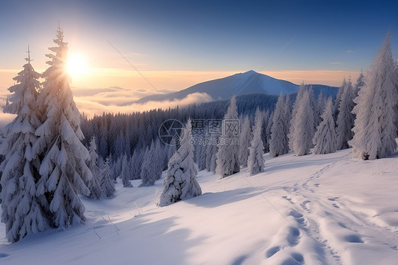 山坡上的雪图片