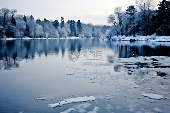 冬日树林中的湖泊图片