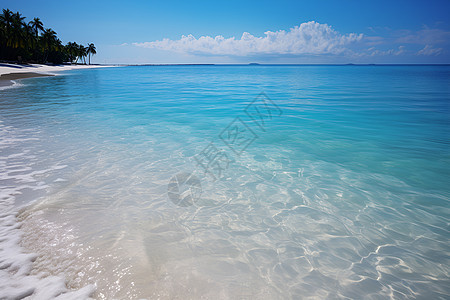碧蓝海洋中的沙滩图片