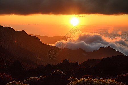 阳光山脉上的风景图片