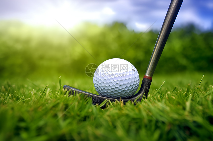 高尔夫球在草坪上图片