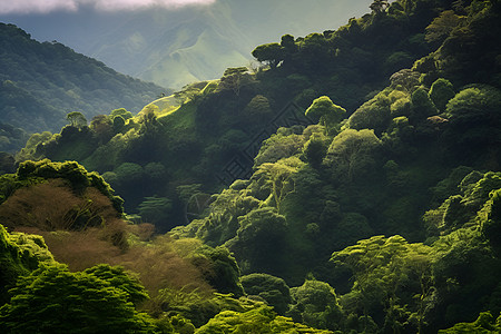 美丽的户外山脉背景图片