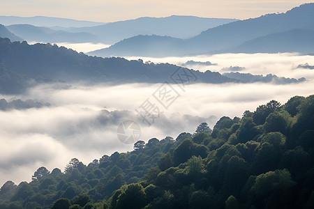 山林上的云海图片