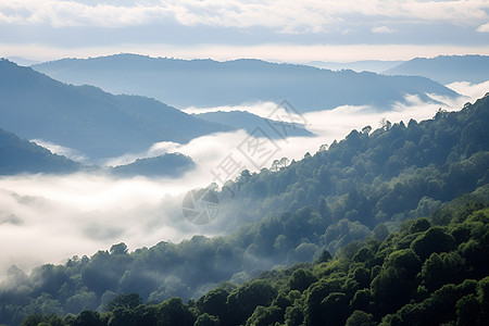 雾气缥缈中的山脉景观图片