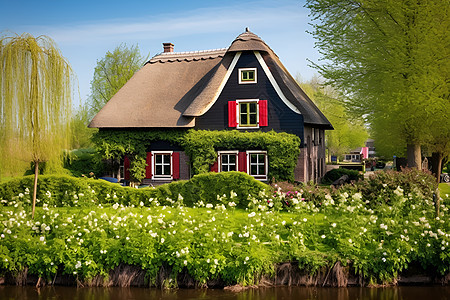 草坪旁的小屋图片