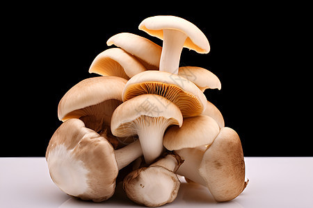 新鲜健康的蘑菇背景图片