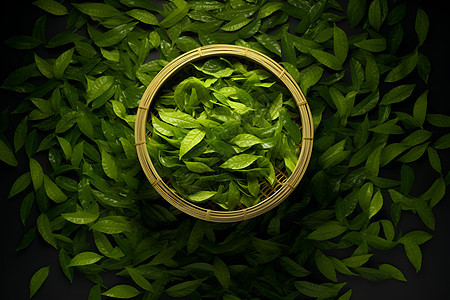 翠绿茶叶中的艺术图片