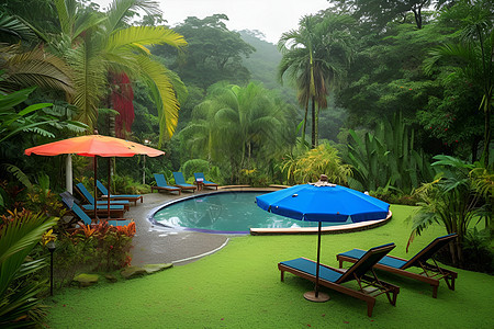 绿树环绕下的泳池背景图片