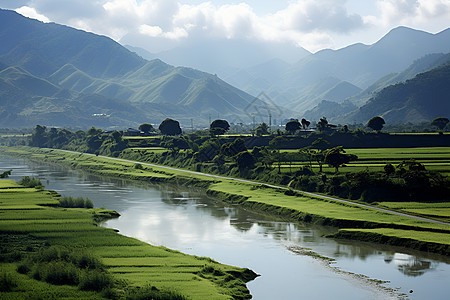 田野里的河流图片