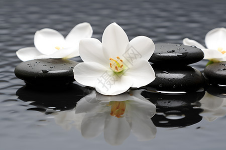 水面的白花图片
