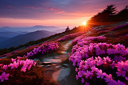 魔幻地山峰上的花海图片