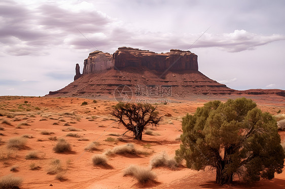 沙漠中的岩石景观图片