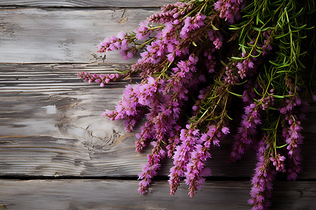 木桌上紫色的薰衣草背景图片