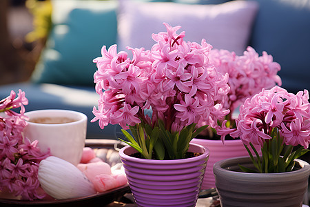 春季粉色的盆栽图片