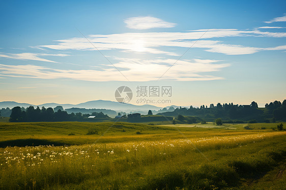 农业种植的田野图片