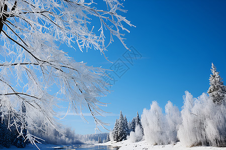白雪皑皑的森林景观图片