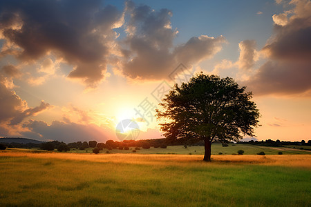 户外壮观的夕阳背景图片