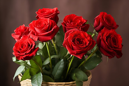 仪式感的玫瑰花束图片