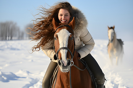 畅游雪景中的马匹背景图片