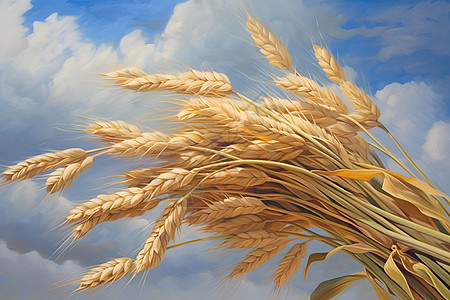 麦穗中的优雅绘画背景图片
