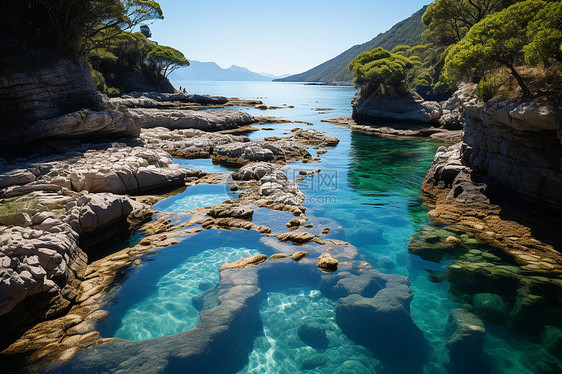 清澈的海水图片