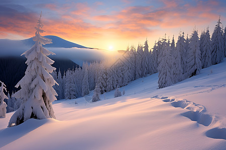 冬季山坡上的白雪背景图片