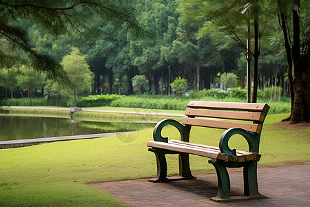 公园湖畔边的长椅图片