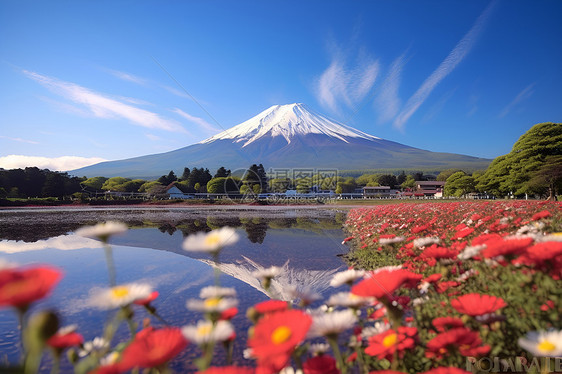 富士山与花海图片