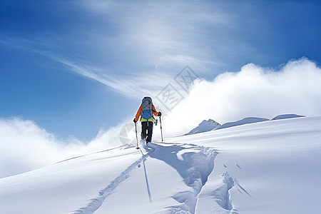 冬日探险图片