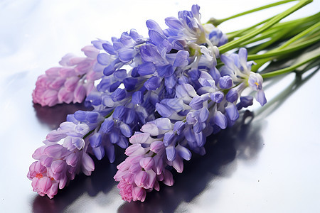 紫色的植物花束图片