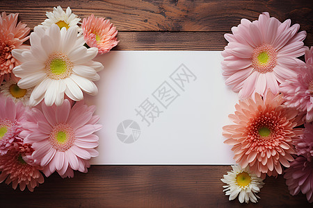 清新浪漫的花卉白纸背景图片