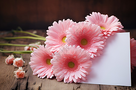 精美的花朵白纸背景图片