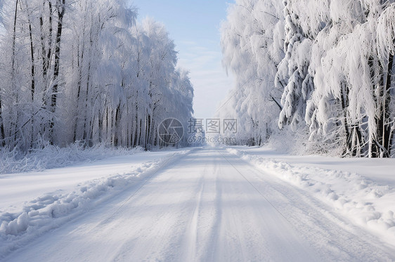 冬季的雪地道路图片