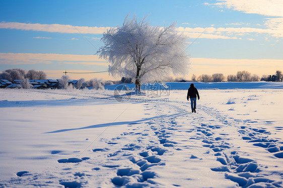 冬日漫步图片