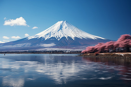 蓝天雪山雪山下的湖泊背景