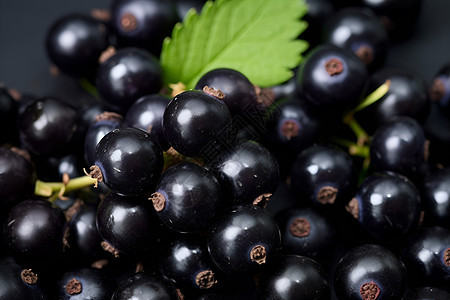 美味多汁的黑莓果实图片