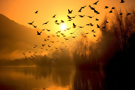 鸟群翱翔湖畔的壮美景象图片